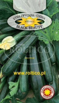 

Семена кабачка Black Beaty - Блек Бьюти 2г ТМ ROLTICO