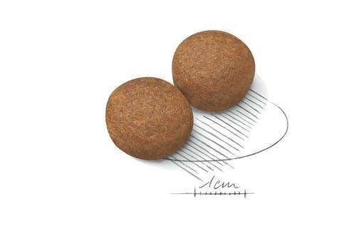 

Royal Canin Maxi Adult 1кг (на вес) -корм для собак крупных размеров