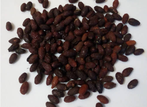 

Кизил (ягода), 250г.