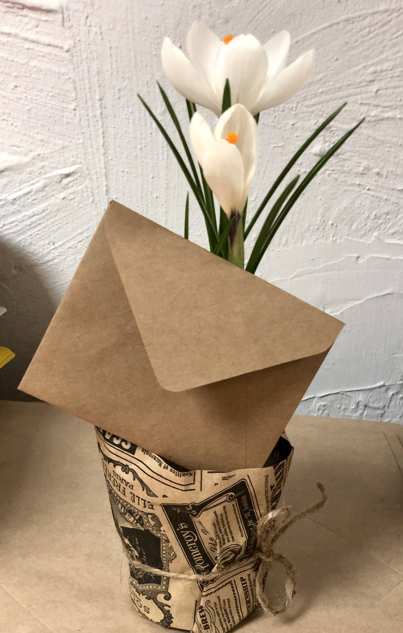 

Конверт мини картонный для пластиковой карты, крафт орех, Коричневый