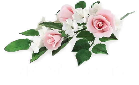 

Роза с бутонами, Разные цвета