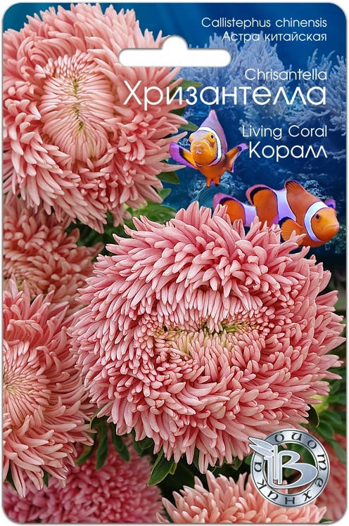 

Семена Астра китайская Хризантелла Коралл 30 семян Биотехника, Розовый