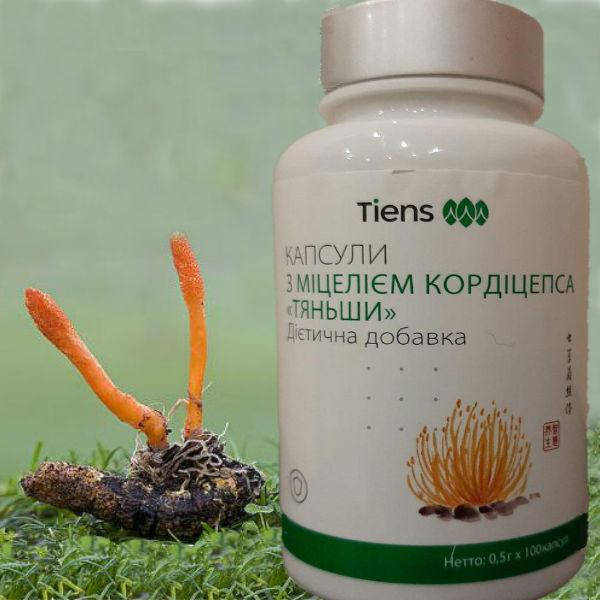 

Кордицепс Тяньши (Китай).