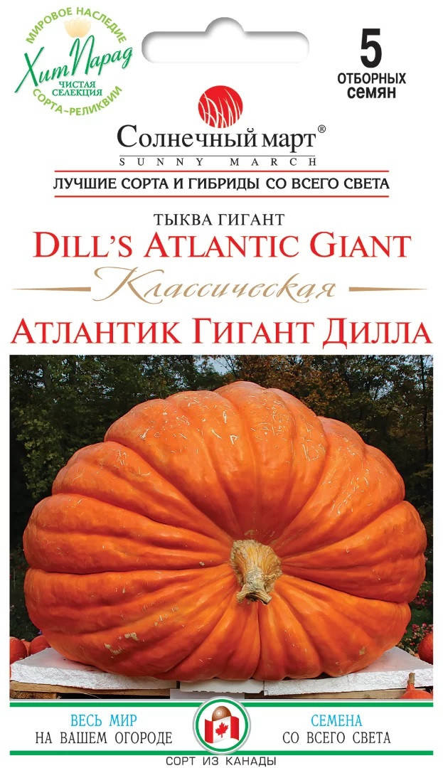 

Тыква Атлантик Классическая 5 шт Солнечный март