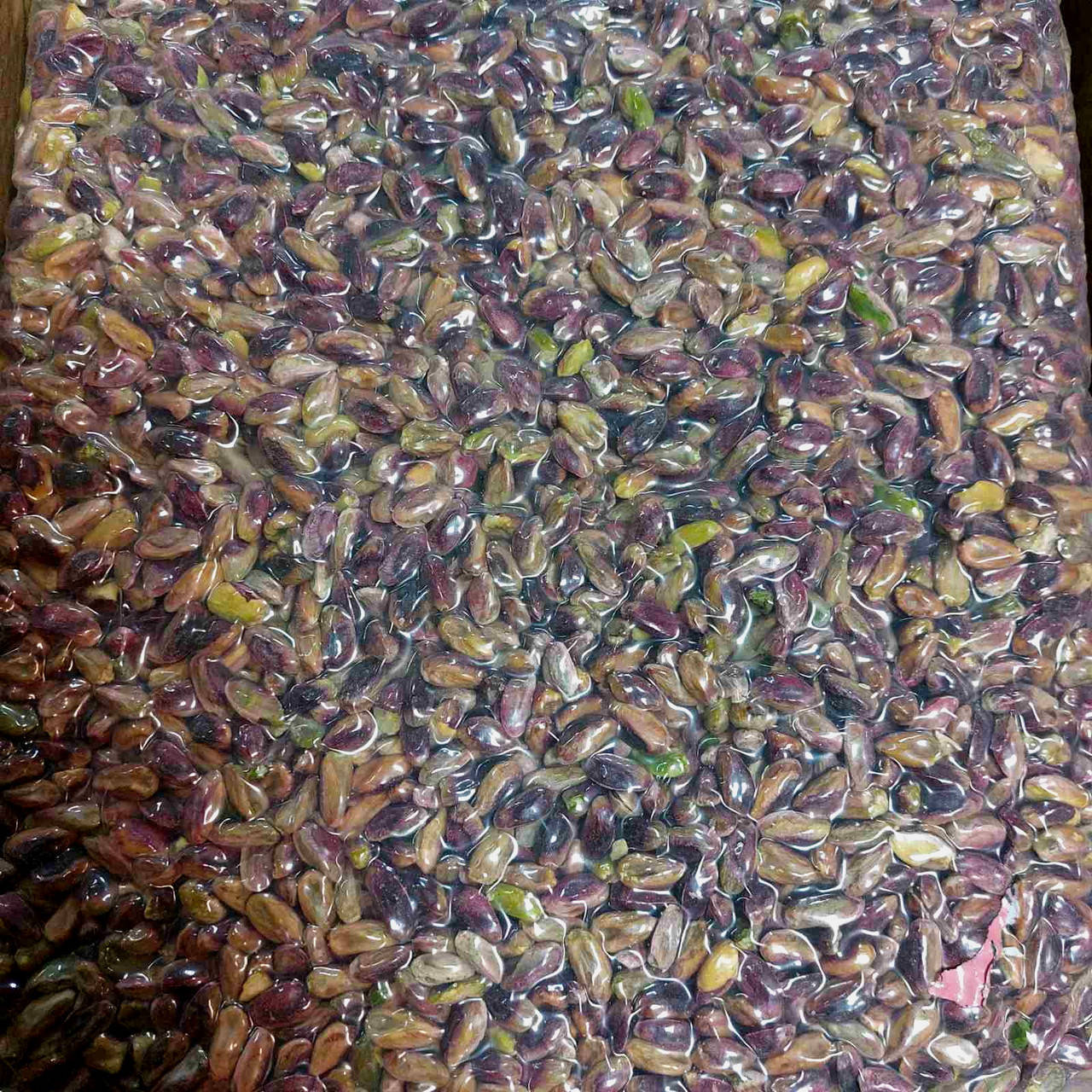 

Фисташка сырая очищенная (ядро)