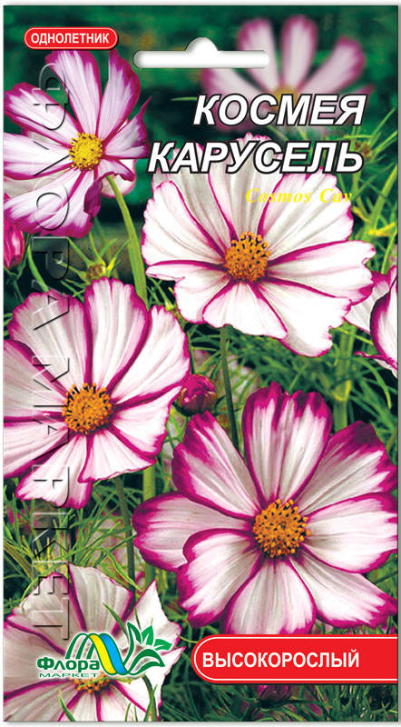 

Космея Карусель, Розовый