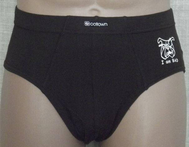 

Трусы мужские плавки бамбук M,L,XL,XXL, трусы плавками ПОЛЬША, Коричневый