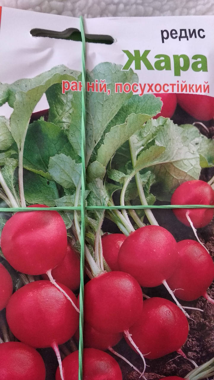 

Редис Жара 3г