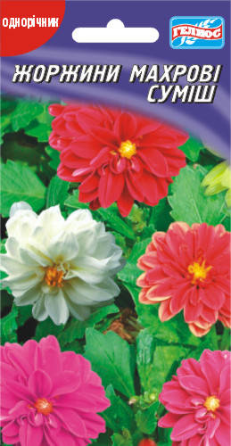 

Георгины махровые смесь 20 шт.