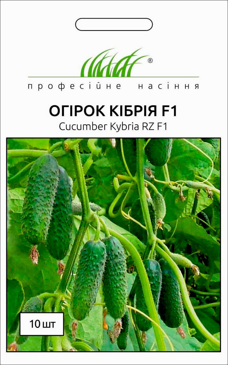 

Професійне насіння. Семена огурец Кибрия F1 самоопыляемый, 10 шт.