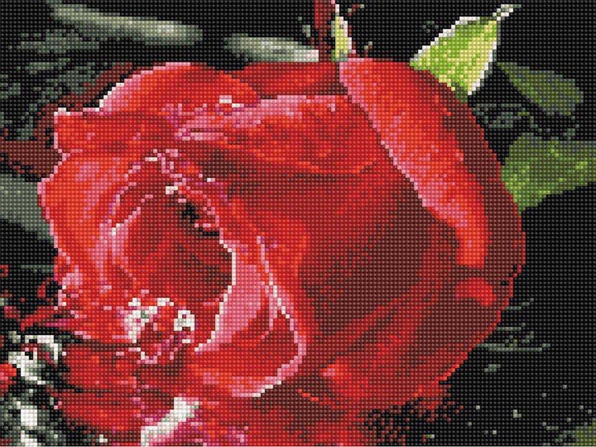 

Алмазная вышивка (мозаика) 30x40 см Красная роза Rainbow Art