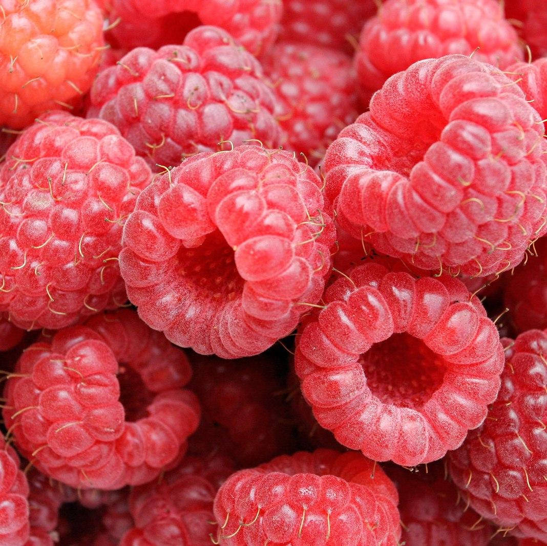 

Саженцы (кусты) летней малины Ковичан (Cowichan) - средняя, урожайная, транспортабельная