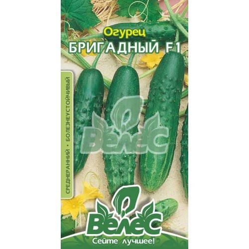 

Семена огурца Бригадный F1 0,5г ТМ ВЕЛЕС