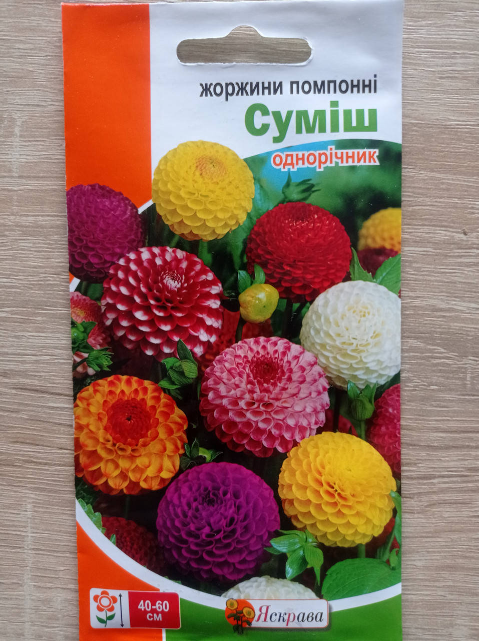 

Жоржини помпонні суміш 0.3 г, Яскрава