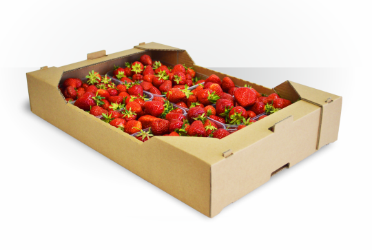 

Гофролоток клубничний 10 кг скл 573×373×95 П32К