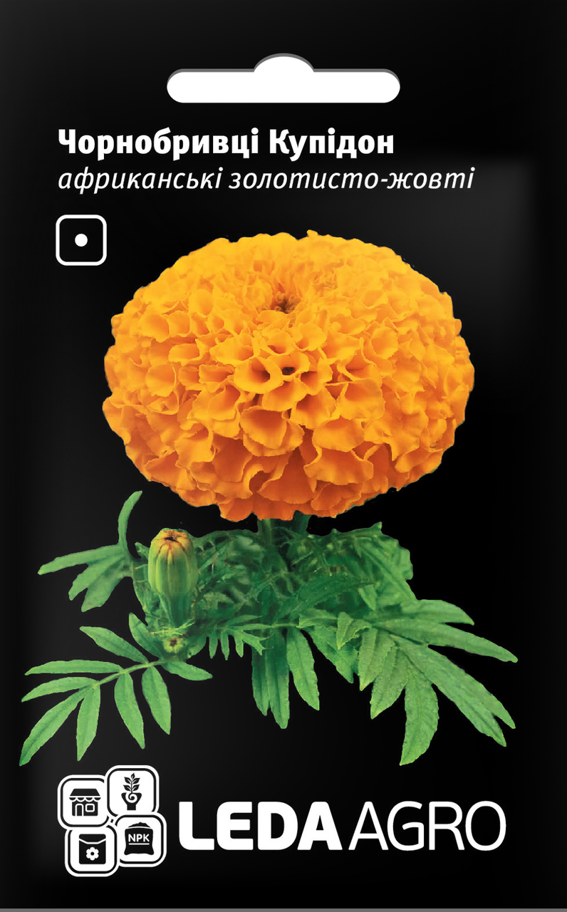 

Семена Бархатцы африканские Купидон золотисто-желтые 0,2г LEDAAGRO