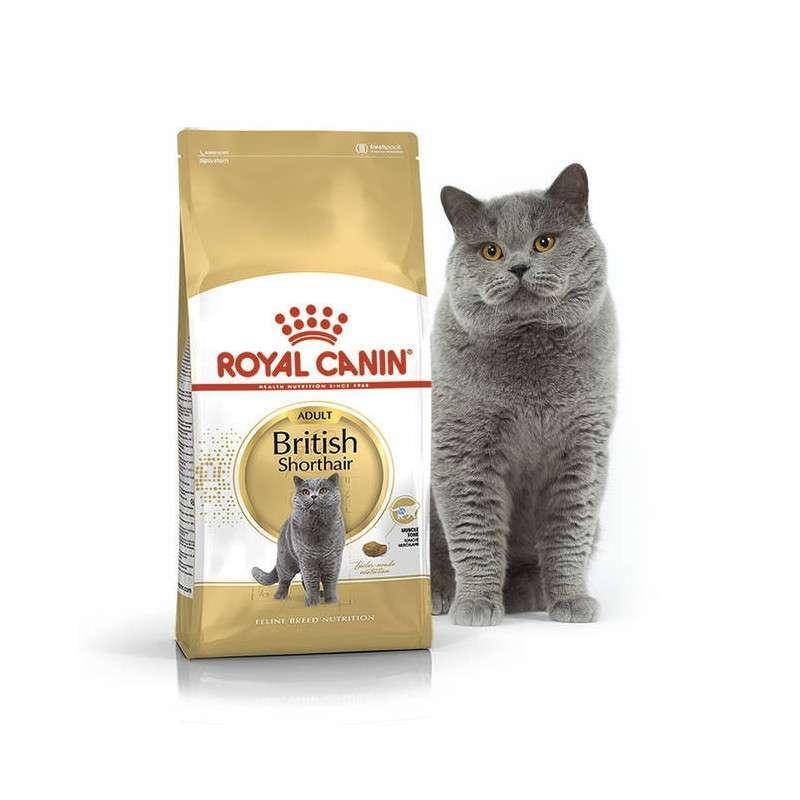 

Royal Canin (Роял Канин) British Shorthair Adult - Сухой корм с птицей для взрослых Британских кошек