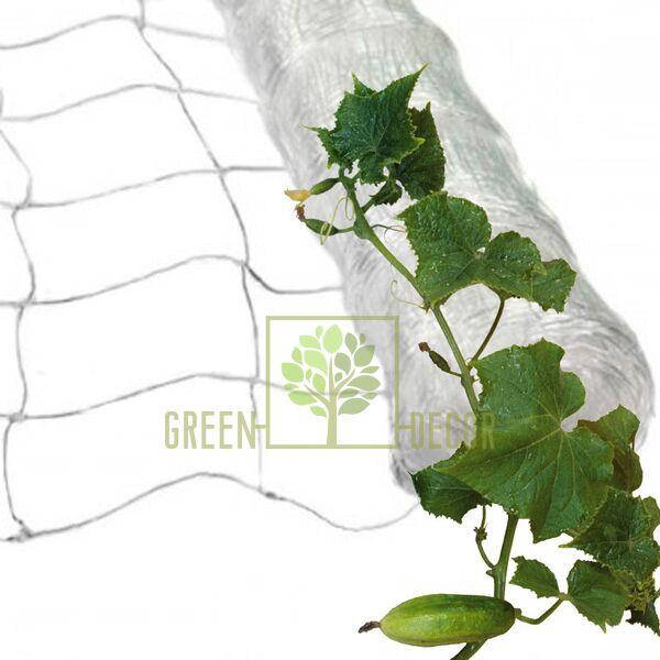 

Сетка шпалерная огуречная 1,7х3 м белая 14х14 см ячейка, Белый