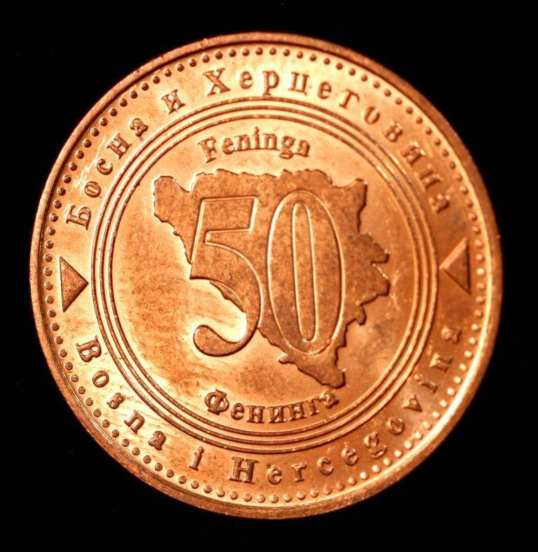 

Монета Боснии и Герцеговины 50 фенингов 2007 г.