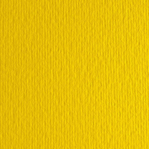

Картон цветной для пастели Elle Erre 07 giallo 50х70 см 220 г/м.кв. Fabriano Италия
