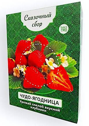

Чудо-ягодница Сказочный сбор – набор для выращивания клубники на подоконнике