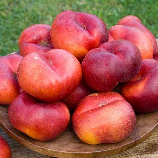 

Саженцы инжирного нектарина Донат (Donut Nectarine)
