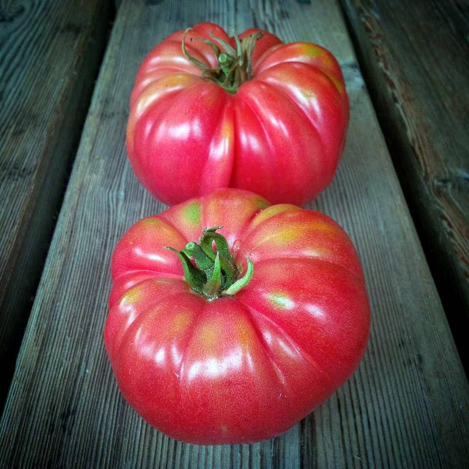 

Томат Роза Перелиса