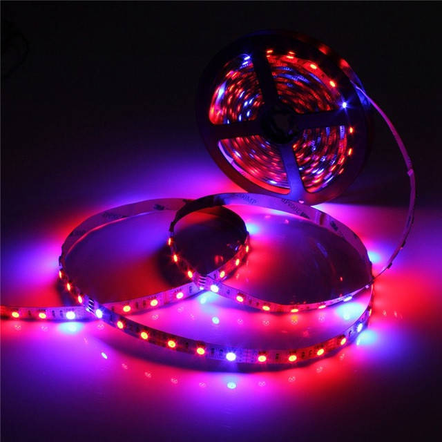 

Фитолента светодиодная SMD 5050 (60 LED/m) IP20 ( 5красных + 1синий )