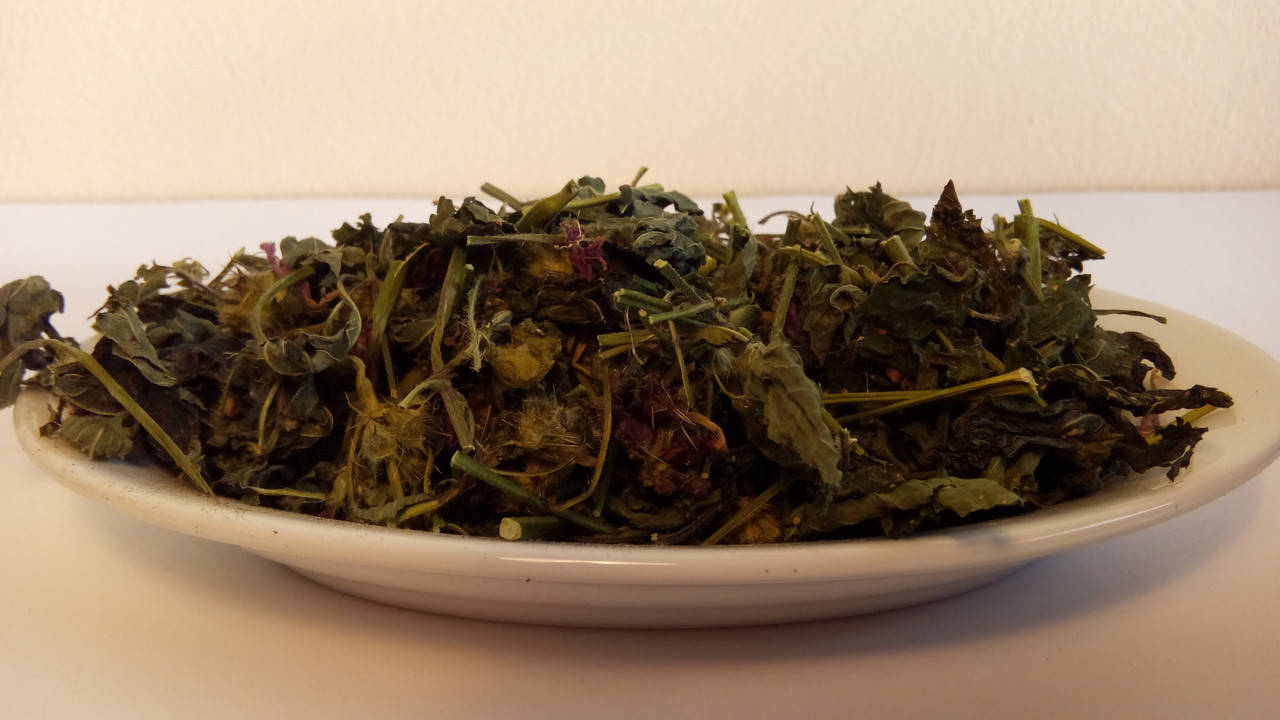 

Трава пустырника , лекарственные растения