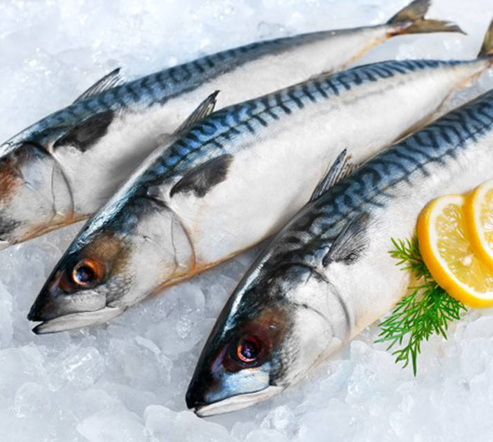 

Скумбрия крупная с/м 400/600, суперкачество