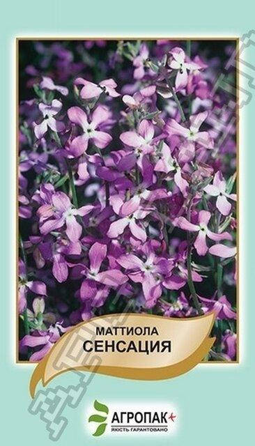 

Маттіола дворога Сенсація - 0,5 грам