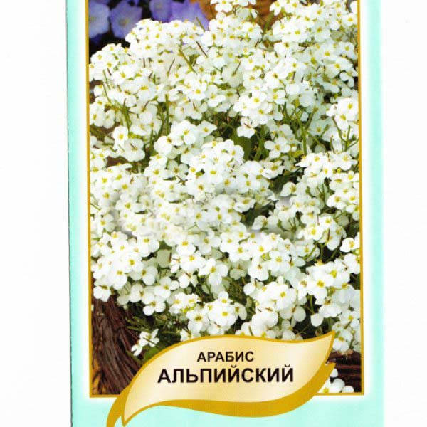 

Семена Арабис Альпийский Белый 0,1 г