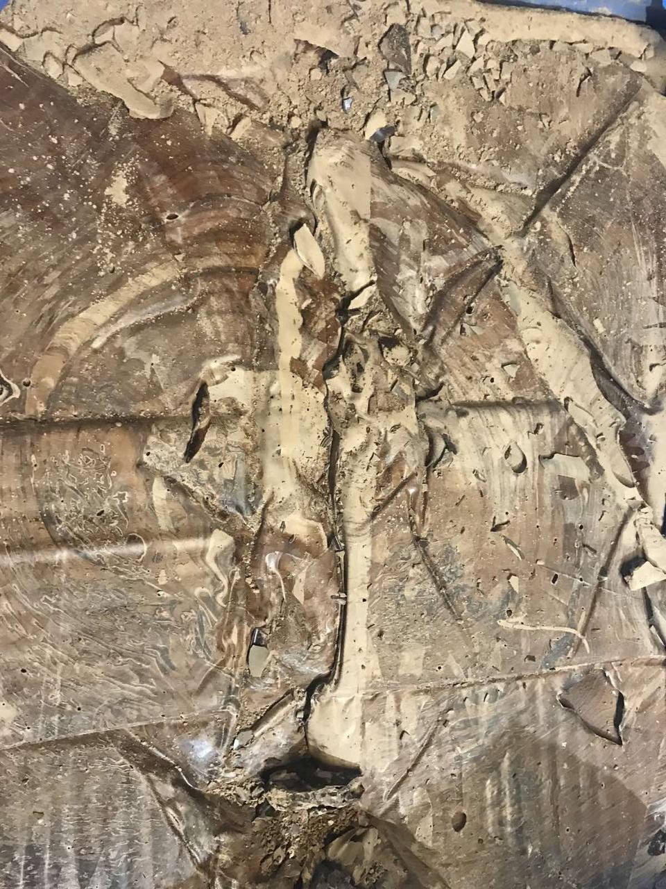 

Какао терте