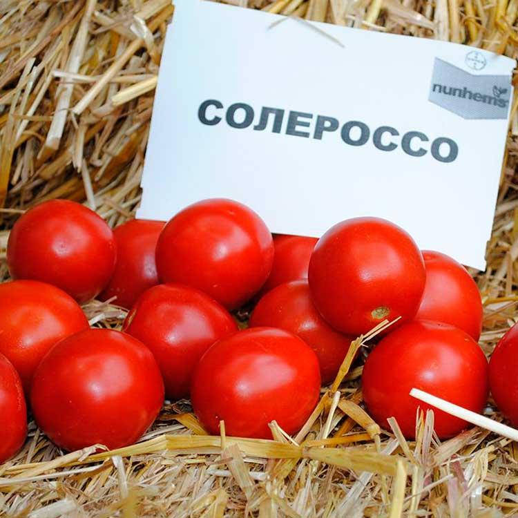 

Томат Солероссо F1 20 семян (Nunhems)