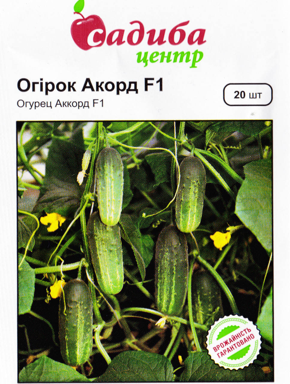 

Семена Огурец Аккорд F1 20 шт