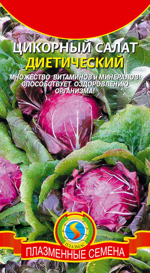 

Салат цикорный Диетический 1 г (Плазменные семена)