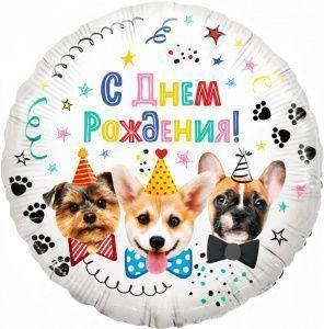 

Шар фольгированный Собачки, С Днём Рождения! (Китай) в упаковке