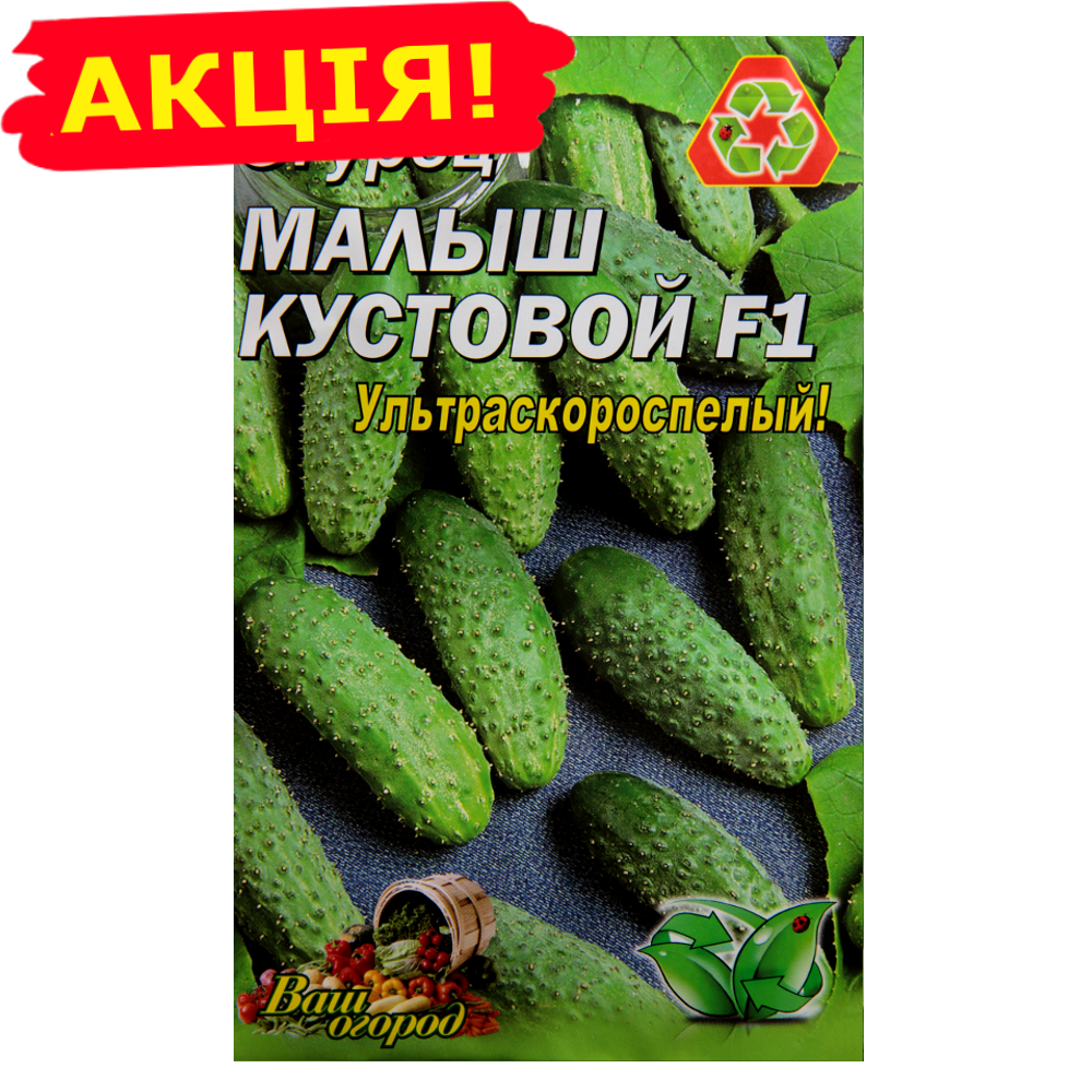 

Огурец Малыш кустовой F1 ультраскороспелый семена большой пакет 3 г