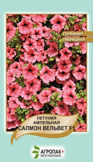

Семена Петуния ампельная, сурфиния Салмон Вельвет F1, 5 семян Cerny Seed Агропак
