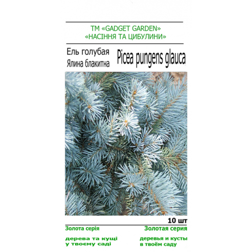 

Ель голубая, Голубой