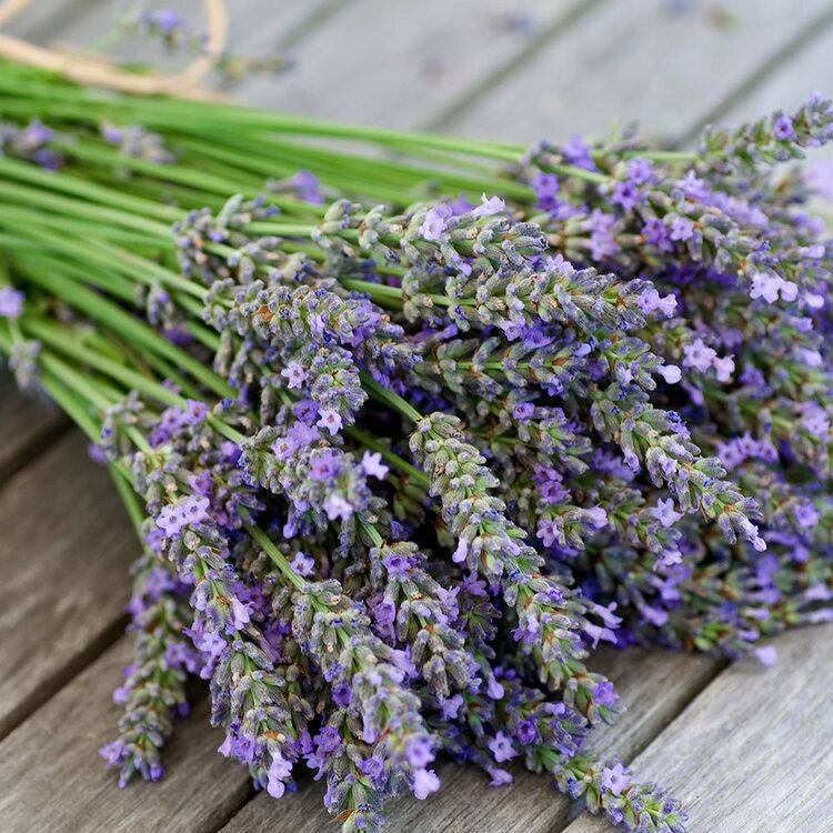 

Lavender / Лаванда, 10 г