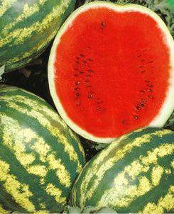 

Семена арбуза Кримсон свит