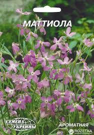 

Маттиола 5 г СУ (однолет.), Сиреневый