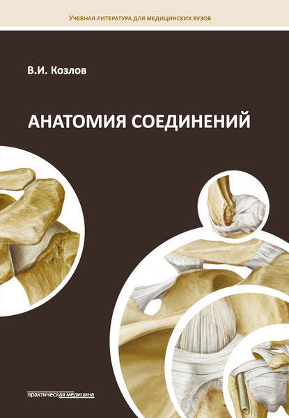 

Козлов В. И. Анатомия соединений