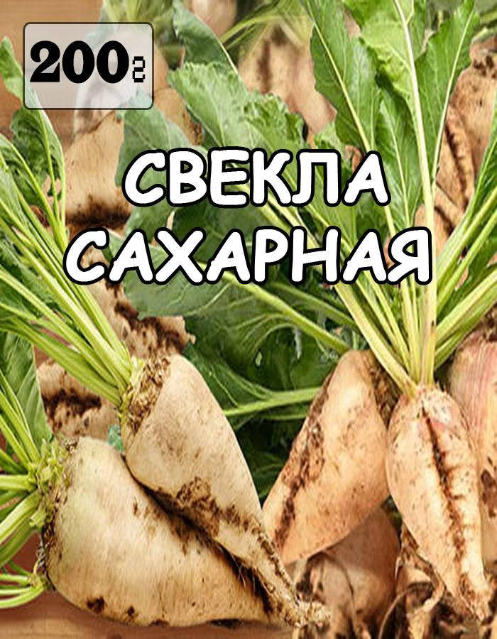 

Семена Свекла Сахарная (белая), Украина, 200 грам