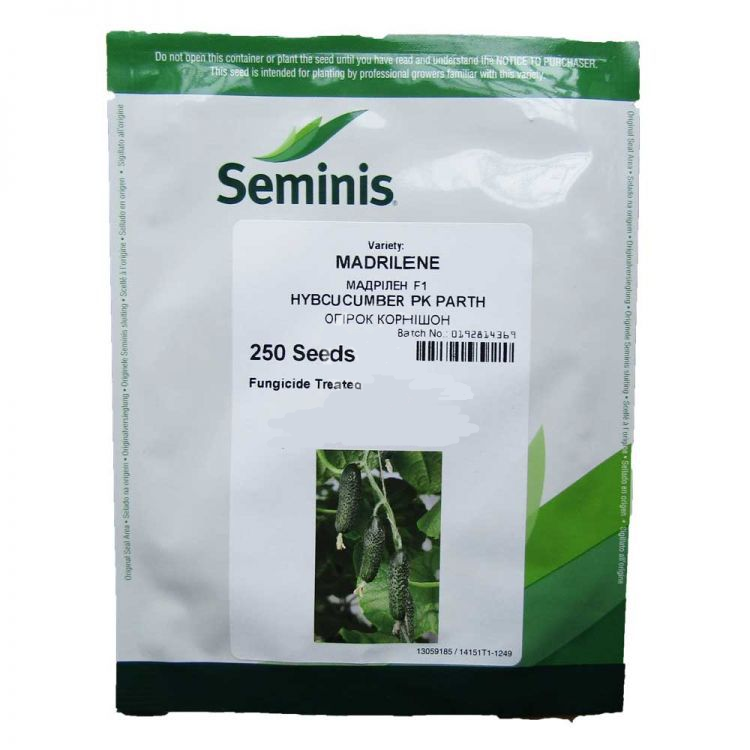 

Семена огурца Madrilene (250сем.), Seminis (Семинис)