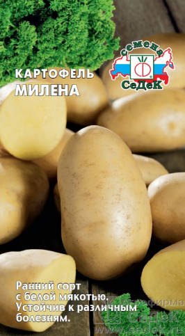 

Семена Картофель Милена 0,02 грамма Седек