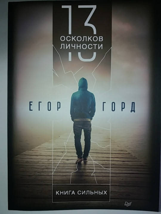 

Егор Горд "13 осколков личности. Книга сильных"