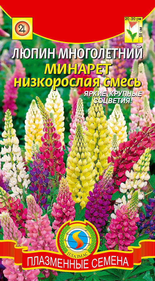 

Люпин многолетний Минарет низкорослая смесь 0,45 г (Плазменные семена)