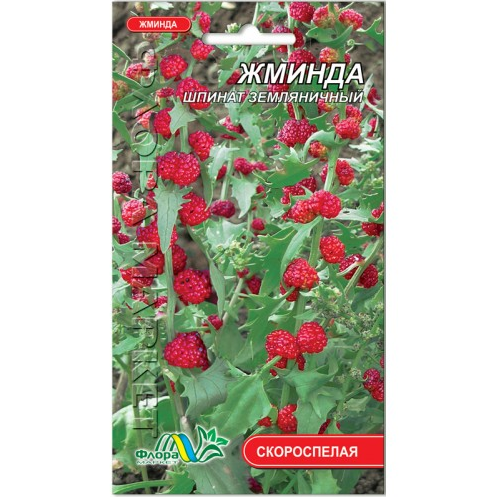 

Семена Жминда скороспелая 0.1 г